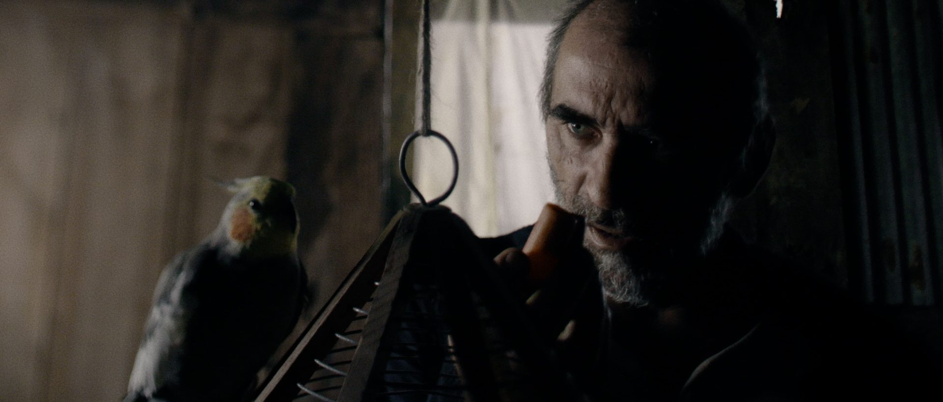 Imagem/still do filme 'As Aves' de Pedro Magano