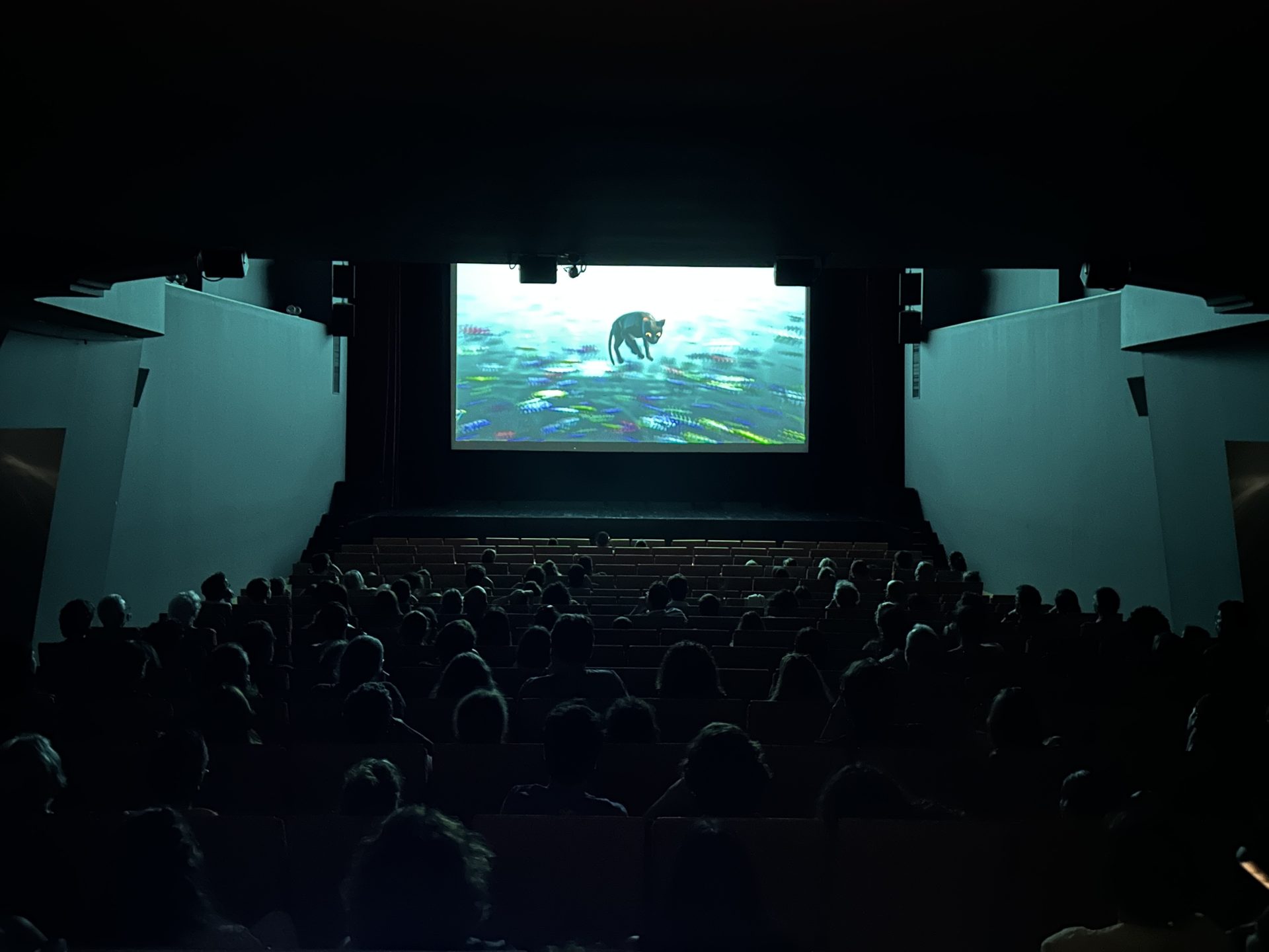 'Café com Filmes' está de volta ao Teatro-Cine de Torres Vedras