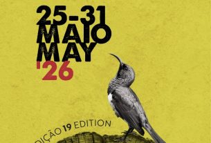 Cartaz 19.º Festival Internacional de Cinema de Santarém