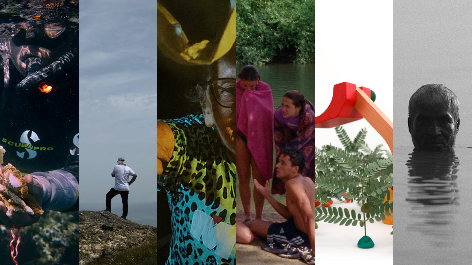 Seleção Oficial 32.ª edição do CineEco: 87 filmes em competição de 34 países