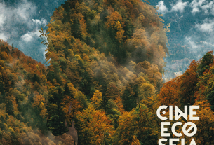 CineEco 26 | Programação extra competição e criação de Bosque CineEco